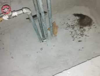 蚌山卫生间测漏水价格明细